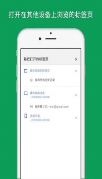谷歌浏览器中文版app截图3