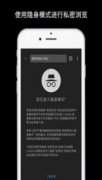谷歌浏览器中文版app截图4