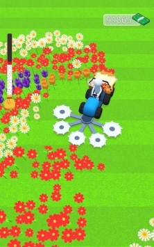 花卉农夫游戏下载截图3