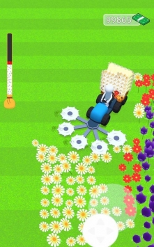 花卉农夫游戏下载截图1