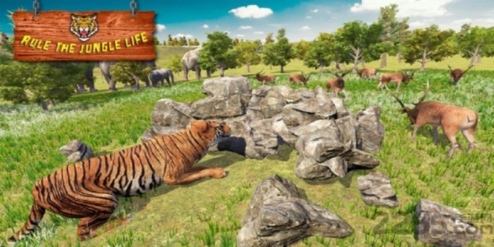 老虎模拟器游戏2023最新版截图1