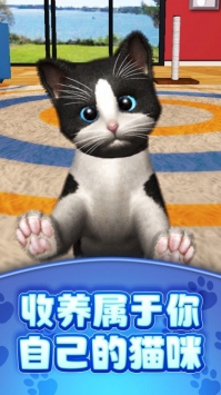 真实模拟宠物中文版截图2