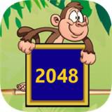 猴子破坏者2048 图标