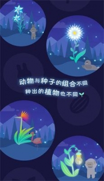 夜之森中文版截图2