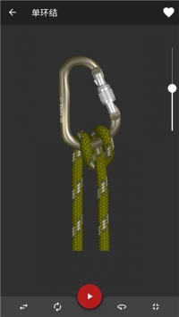 Knots 3D最新版截图2