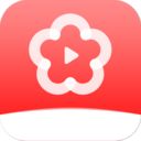 梅花视频app 图标