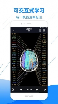 影像解剖图谱手机免费版截图4